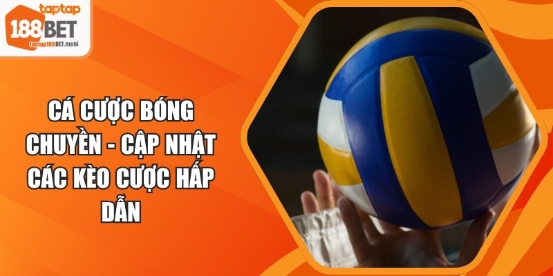 Cá Cược Bóng Chuyền